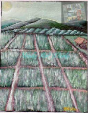 rice-field_edited.jpg